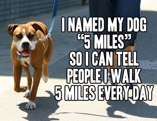 I named my dog 