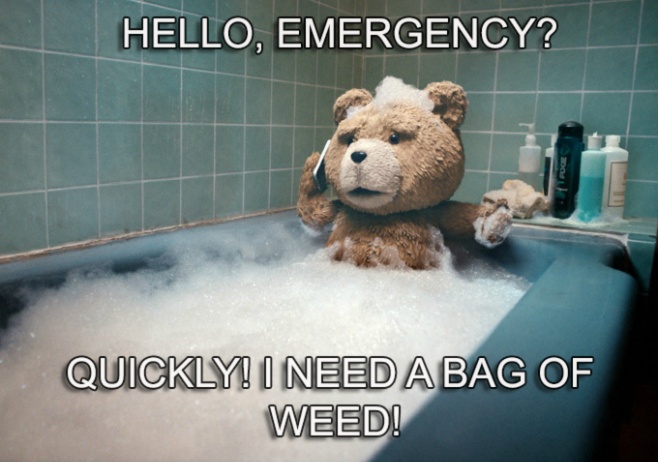 TED - Hello, Emergency ? Quickly ! I need a bag of weed !