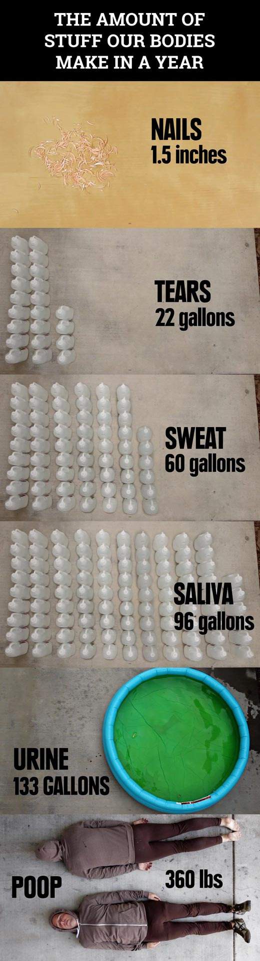 The amount of stuff our bodies make in a year