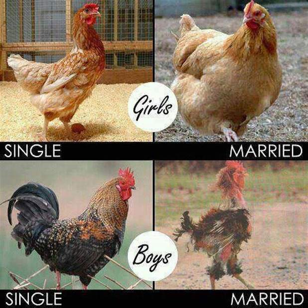 The difference between a married man and woman