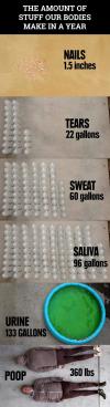 The amount of stuff our bodies make in a year