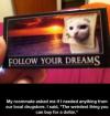 The weirdest thing you can buy for a dollar 